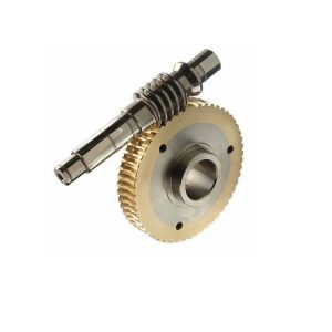 Non-standard Custom Worm Shaft and Worm Gear