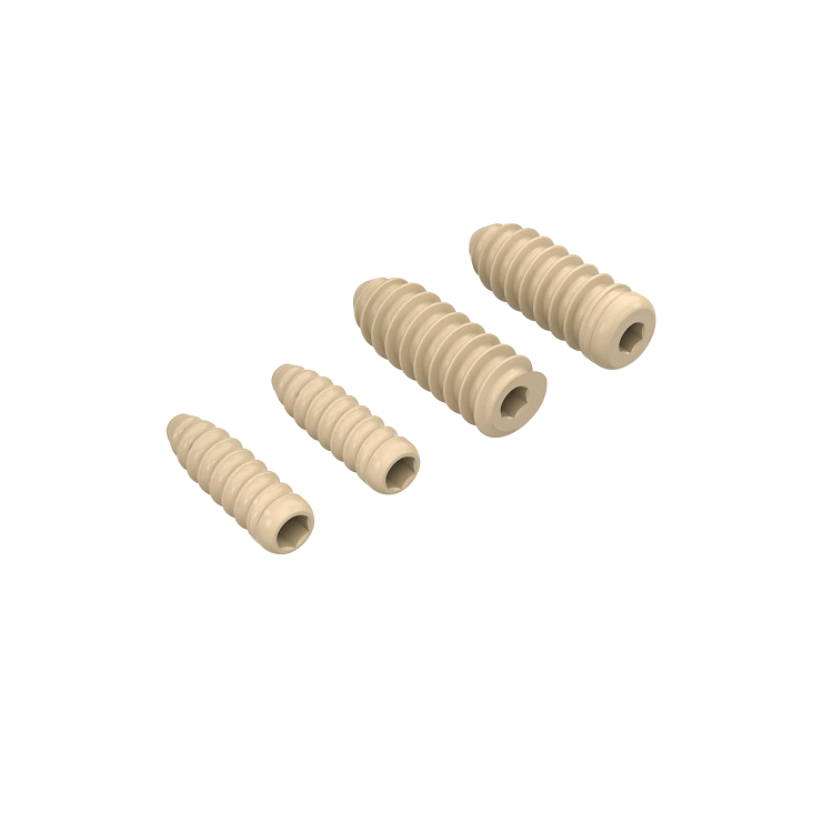 High Strength Plastic PEEK Bolt